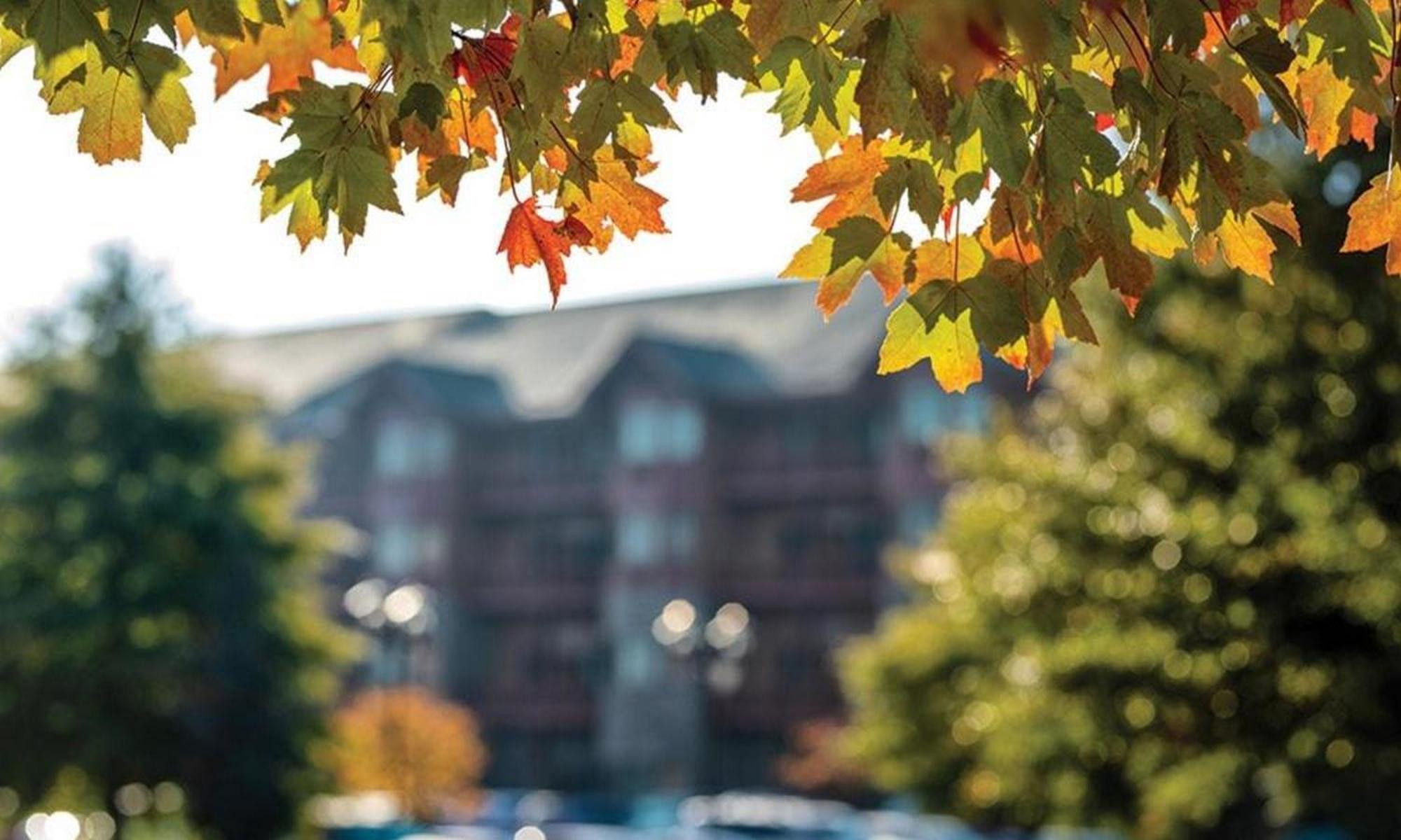 Great Smokies Lodge Sevierville By Hellovacay Екстериор снимка